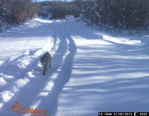 Picture 30